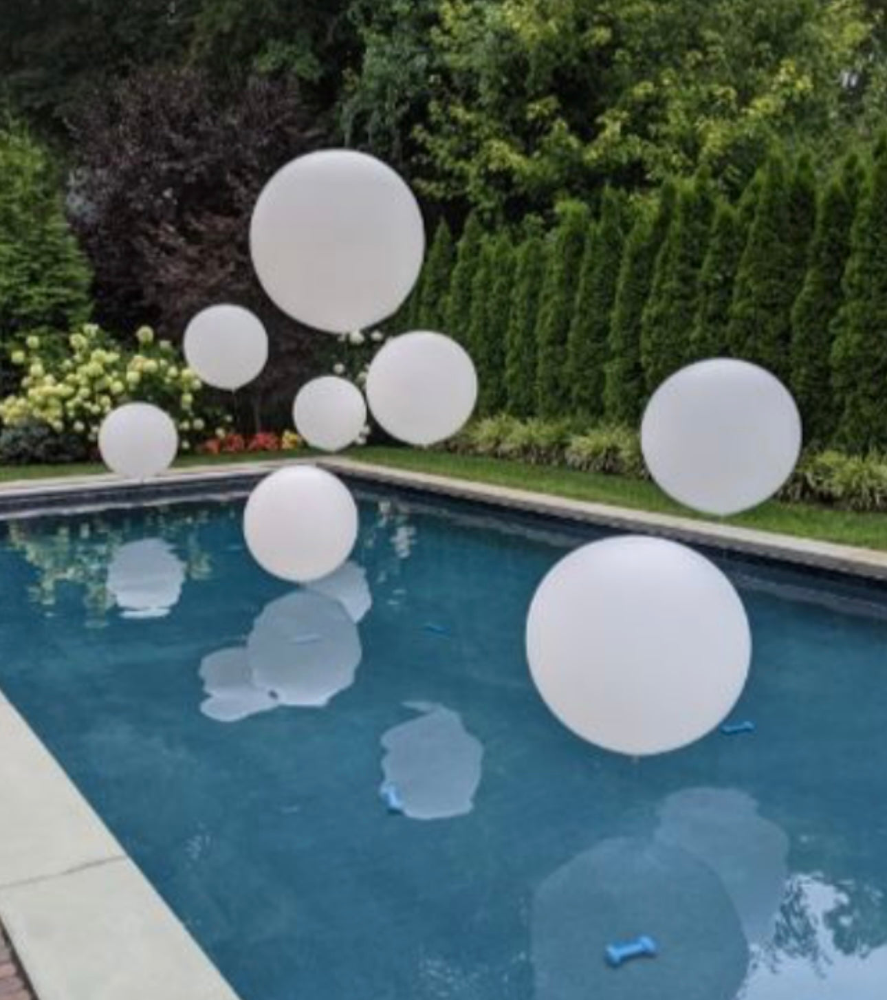 36” latex helium pool balloons