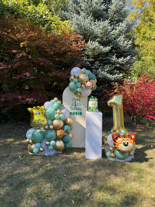 Themed Mini solid backdrop with cake stand and aged balloon pillar