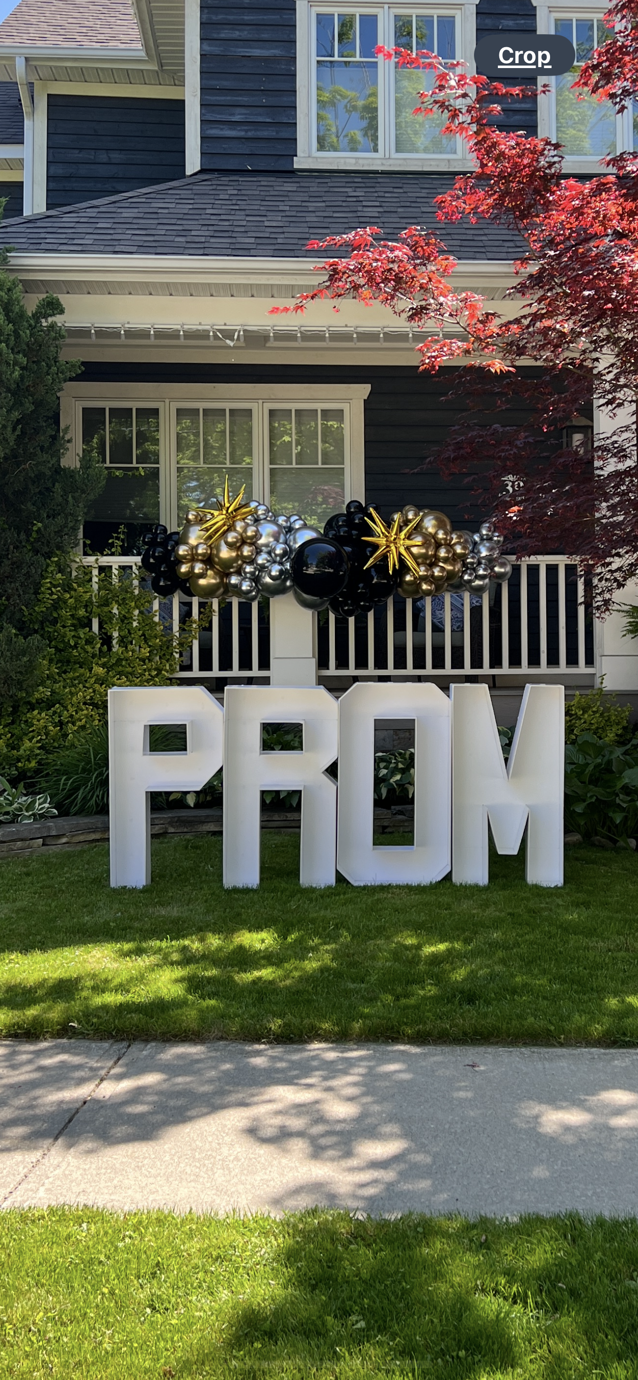 Balloon garland & PROM letters