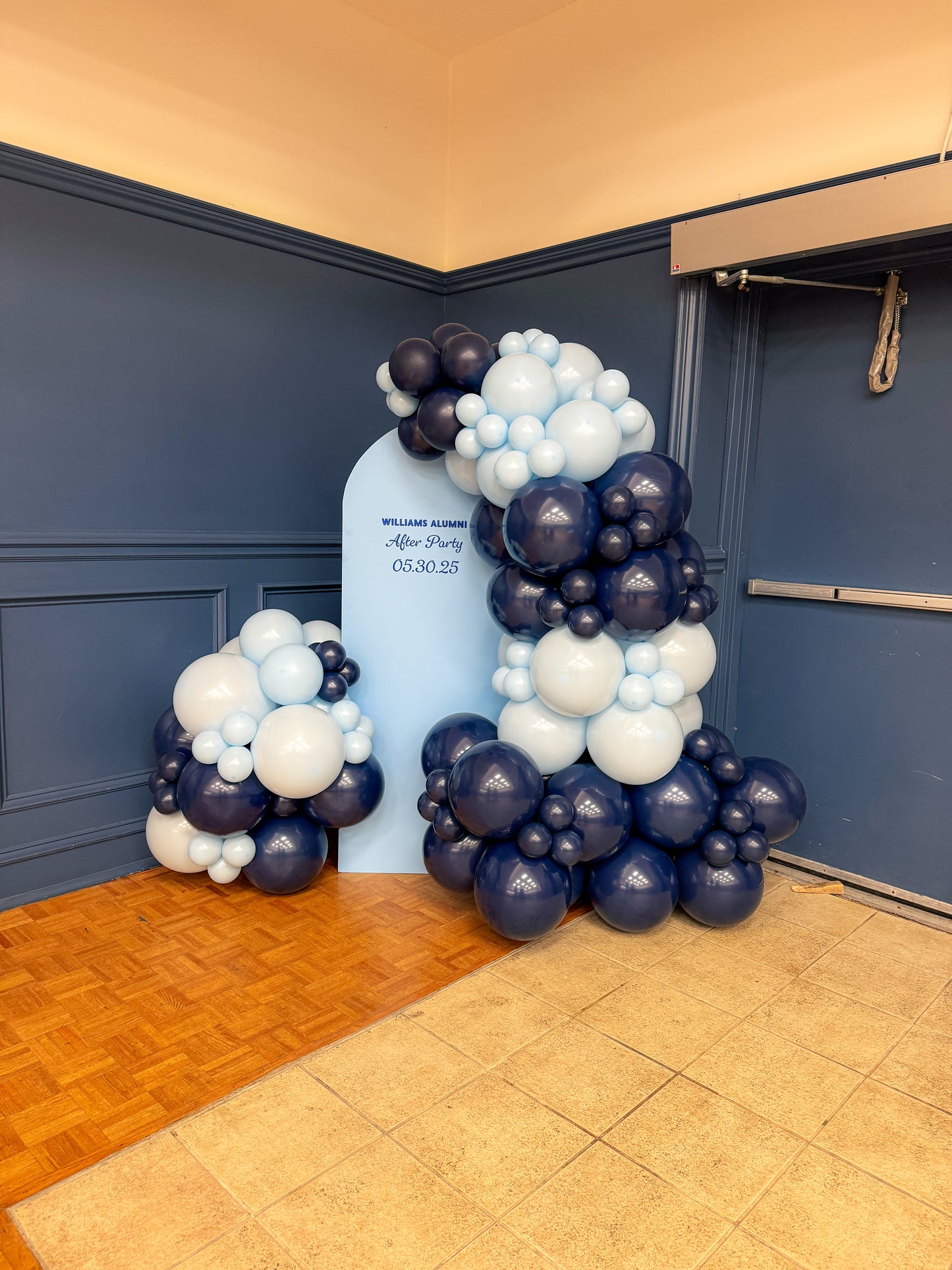 Mini solid backdrop incased in balloons