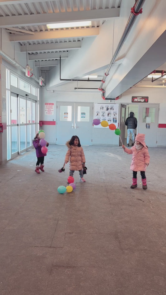 Chain link rinks